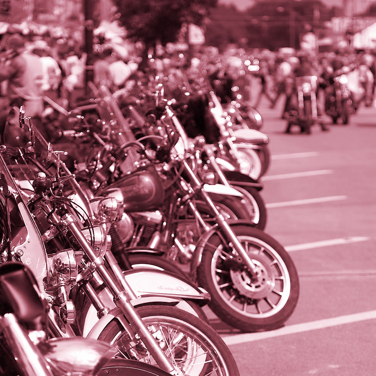 Motorcycles Parked on a Road