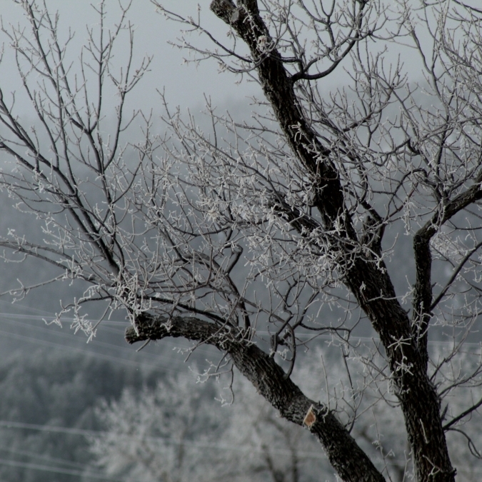 What to do in Sturgis in the Winter?