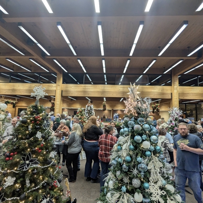 What’s Taylor up to in November 2025?