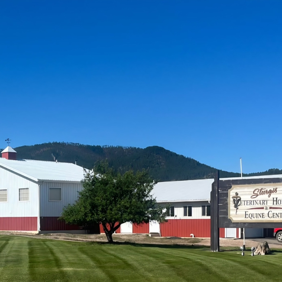 Sturgis Veterinary Hospital & Equine Center Photo