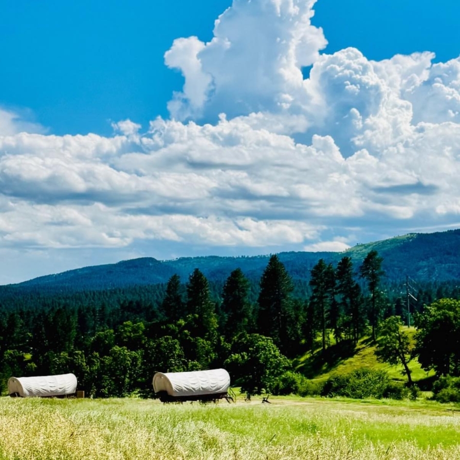 The Wagons Photo
