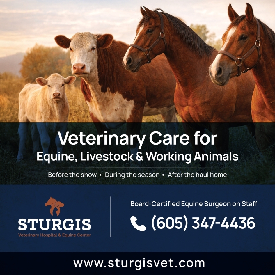 Sturgis Veterinary Hospital & Equine Center Photo