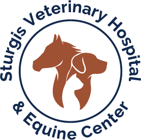 Sturgis Veterinary Hospital & Equine Center Photo