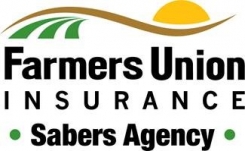 Sabers Agency Inc Logo